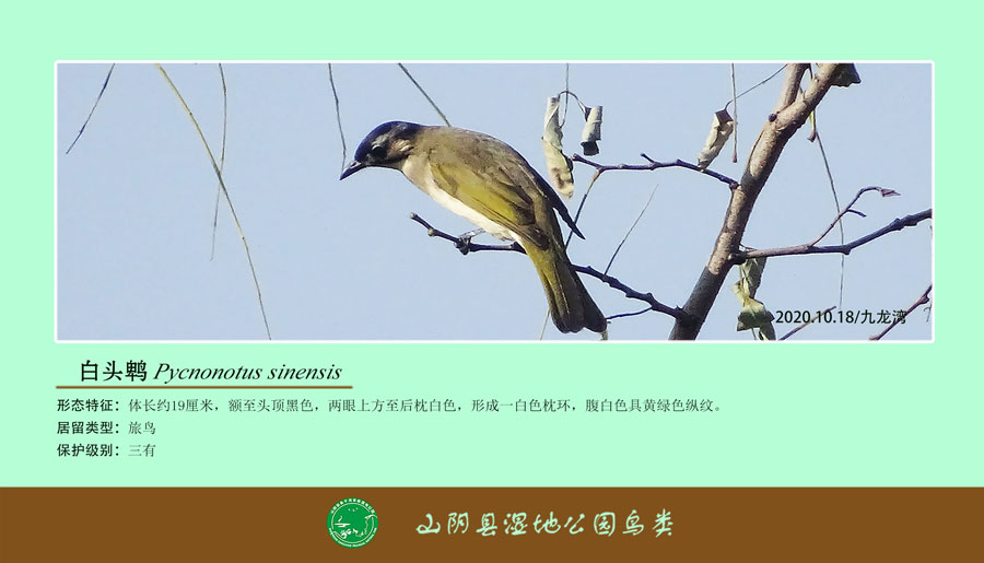 20210715/183b0efb6939af788cb8cb13edcd0463.jpg