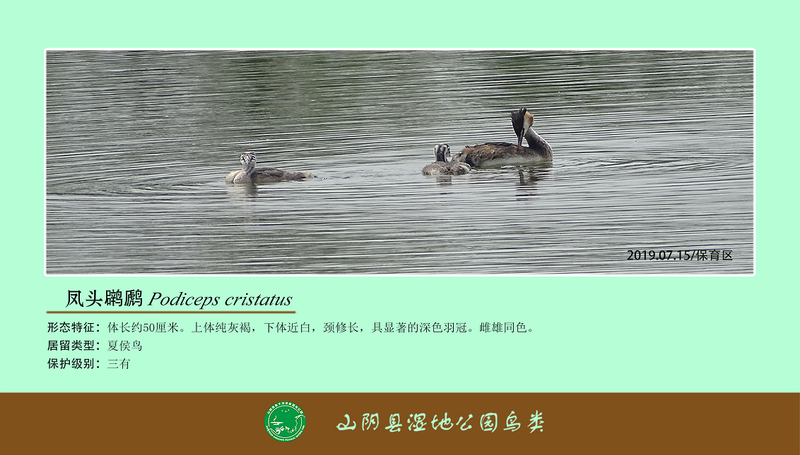 20210716/a5198e2309b270ea1ed79a1c740ee656.png